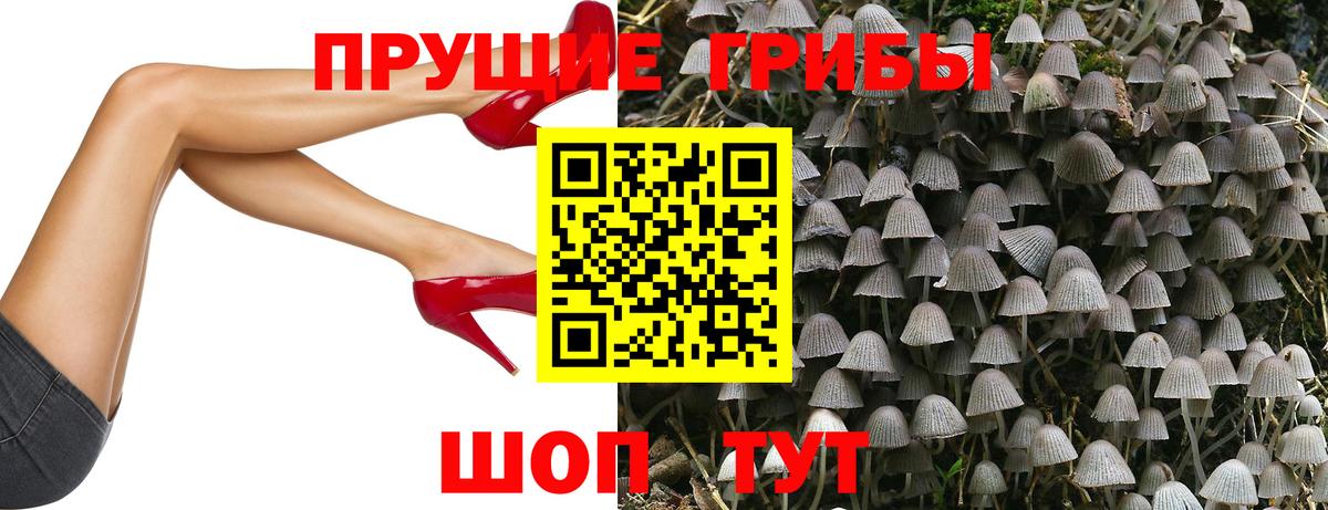 Галлюциногенные грибы MAGIC MUSHROOMS Прокопьевск