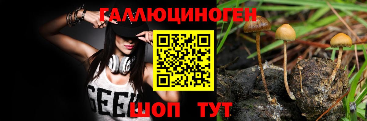 Прокопьевск  Галлюциногенные грибы ЛСД  Вход с VPN 